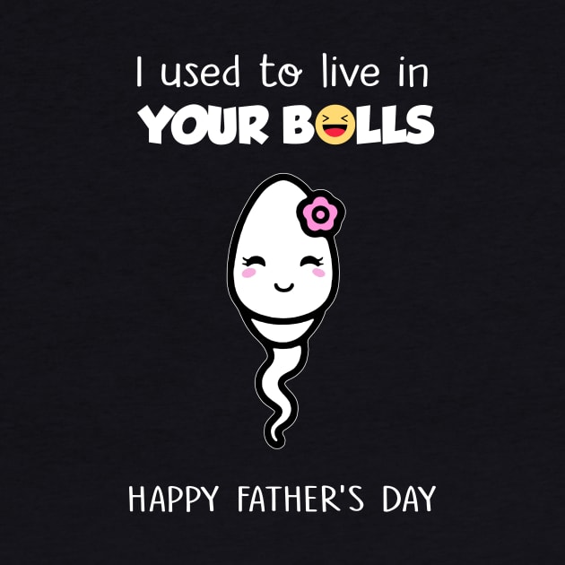 I Used To Live In Your Balls Funny Daughter Happy Father's Day by PlumleelaurineArt